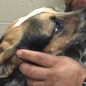 Meet your Posher, Trey